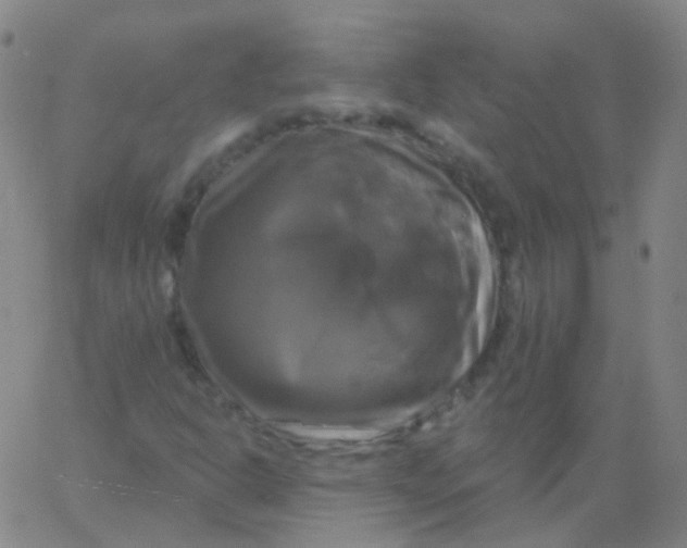 X0000061751302200512231515