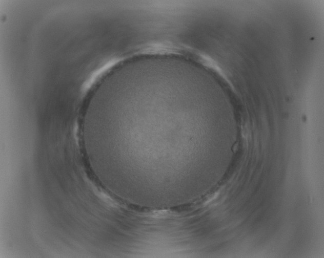 X0000061751304200512231515