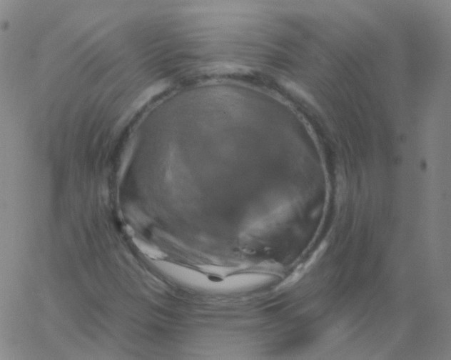 X0000061751305200512231515