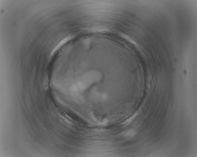 X0000061751306200512231515