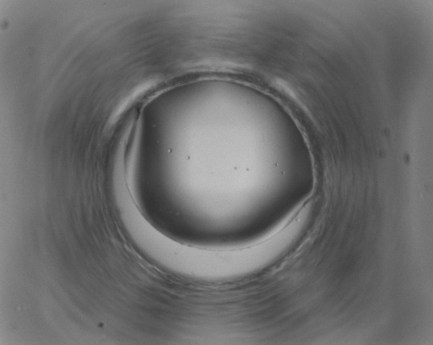 X0000061751307200512231515