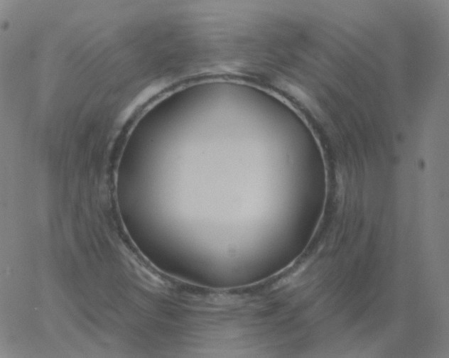 X0000061751308200512231515