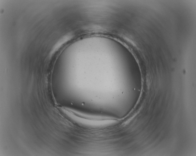 X0000061751309200512231515