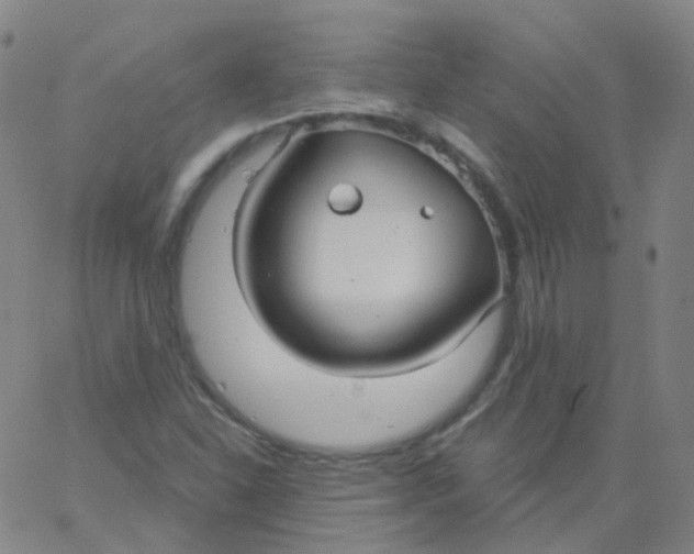 X0000061751310200512231515