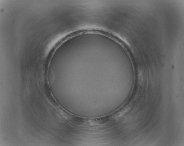 X0000061751311200512231515