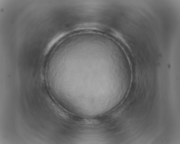 X0000061751312200512231515