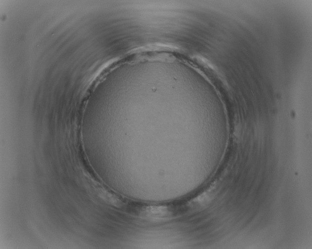 X0000061751313200512231515