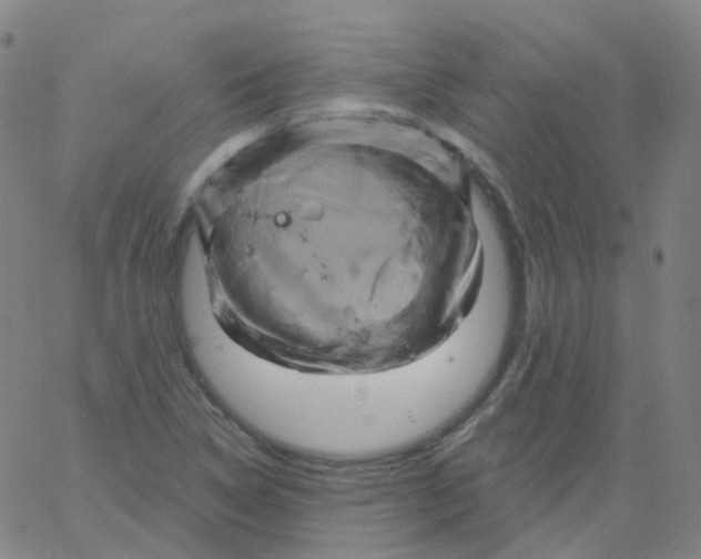 X0000061751314200512231515