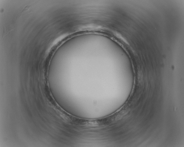 X0000061751315200512231515