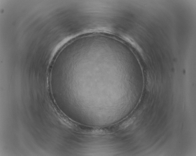 X0000061751316200512231515