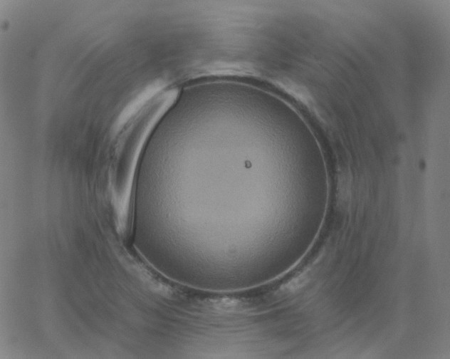 X0000061751317200512231515