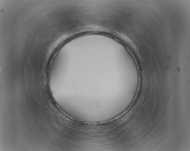 X0000061751318200512231515