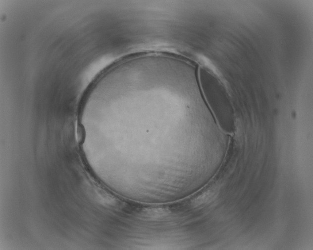 X0000061751320200512231515