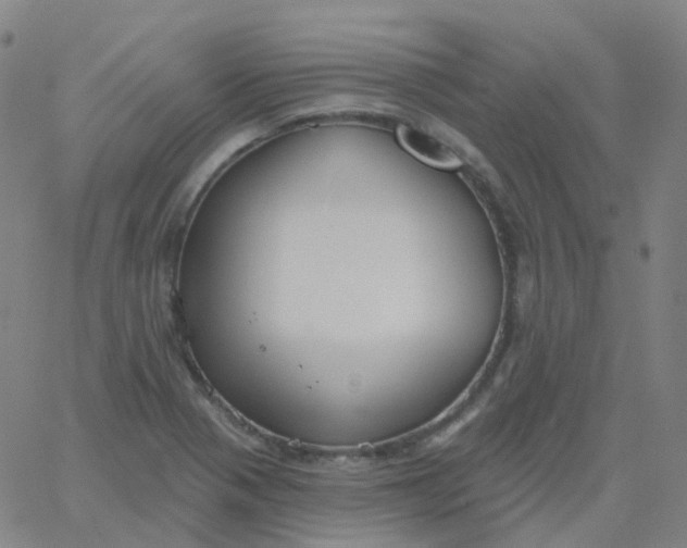 X0000061751321200512231515