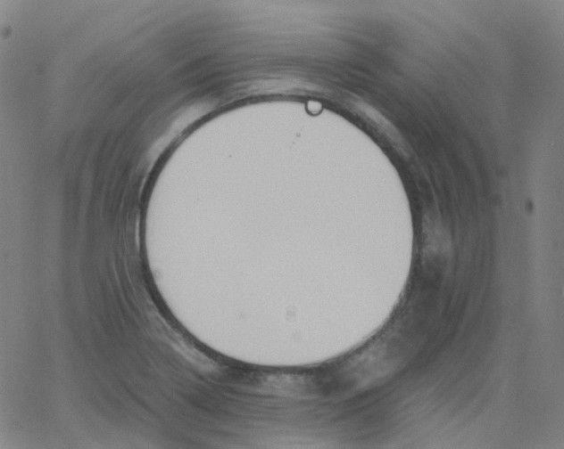 X0000061751322200512231516