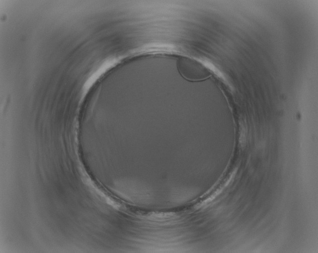 X0000061751325200512231516