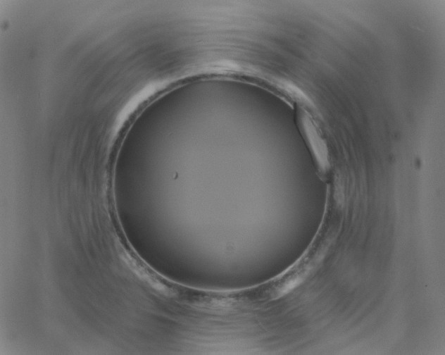 X0000061751326200512231516