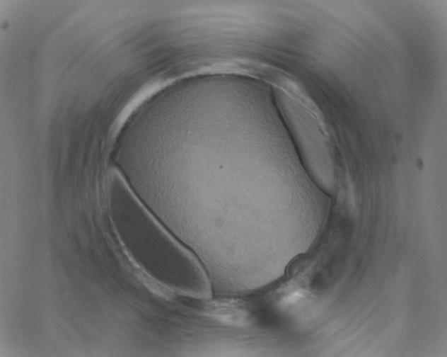 X0000061751328200512231516