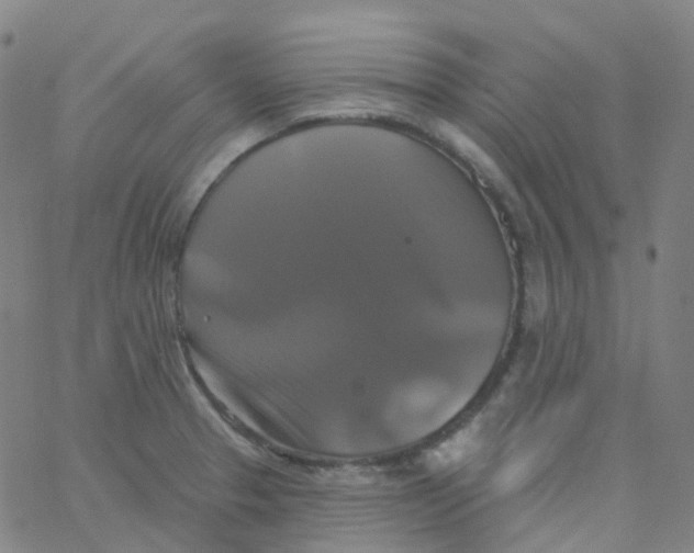 X0000061751329200512231516