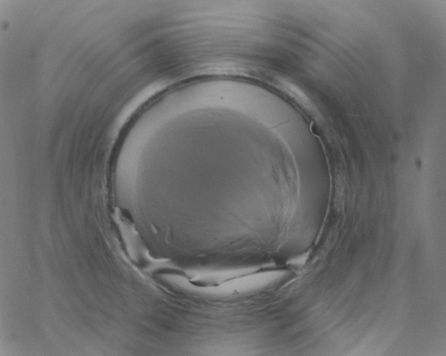 X0000061751331200512231516