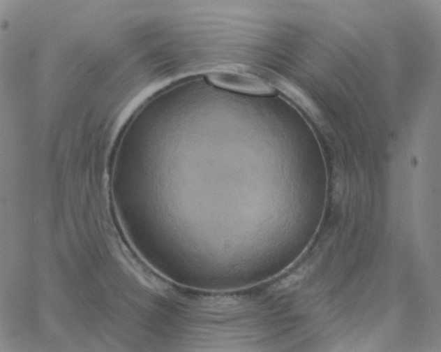 X0000061751332200512231516