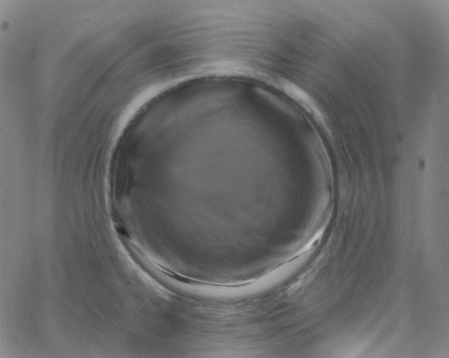 X0000061751334200512231516