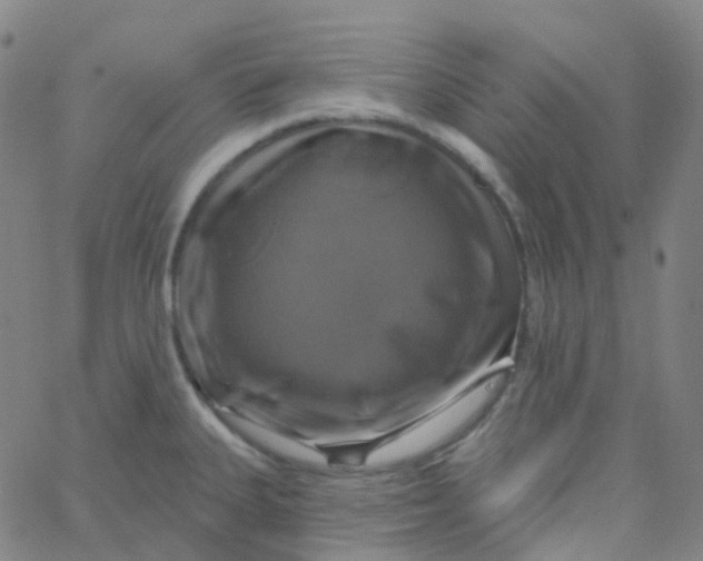 X0000061751335200512231516