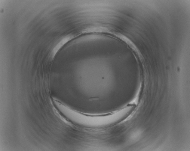 X0000061751337200512231516