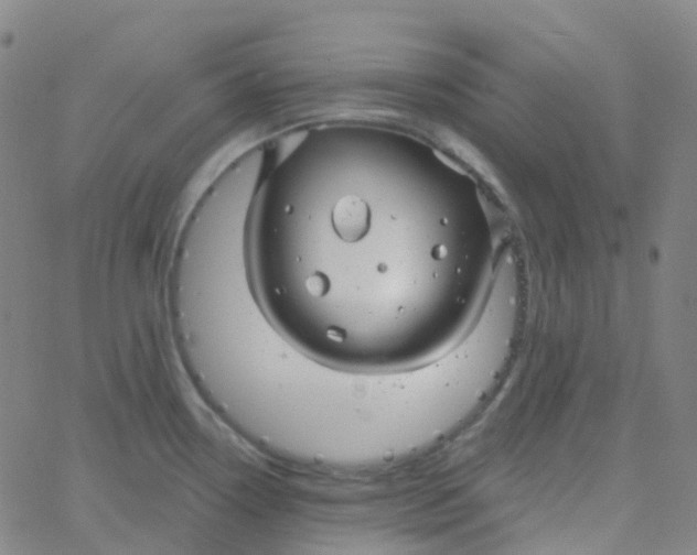 X0000061751338200512231516