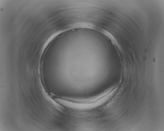 X0000061751339200512231516