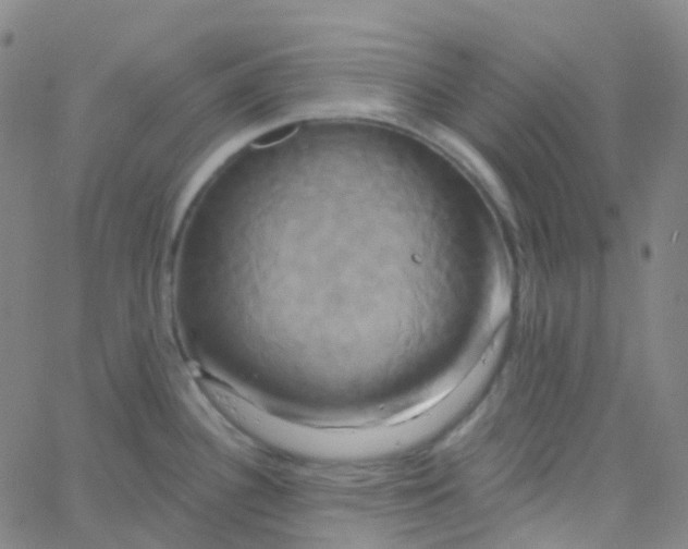 X0000061751340200512231516