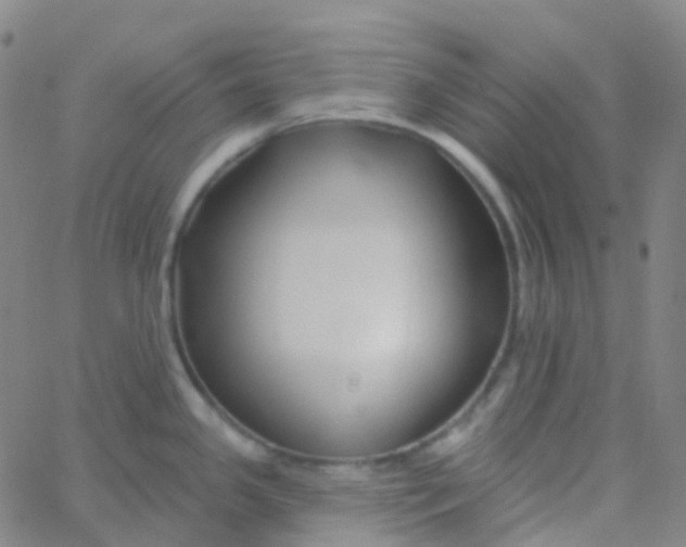 X0000061751341200512231516