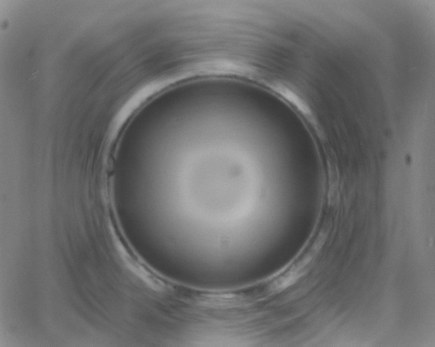 X0000061751342200512231516