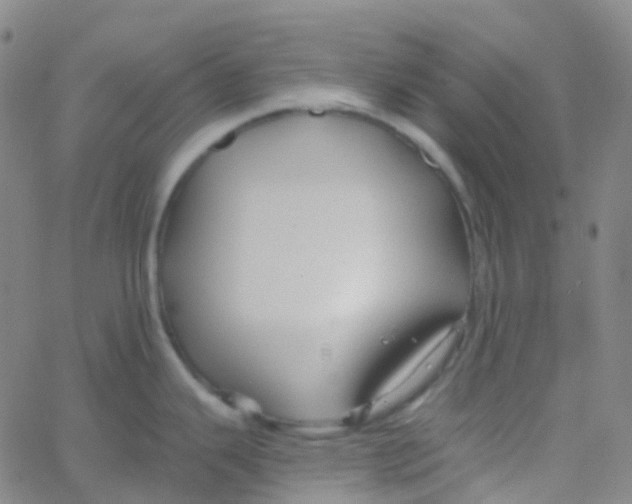 X0000061751343200512231516