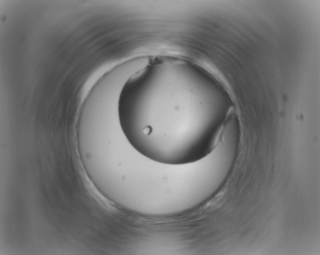 X0000061751344200512231516