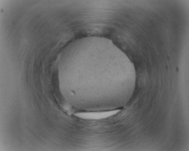 X0000061751345200512231515