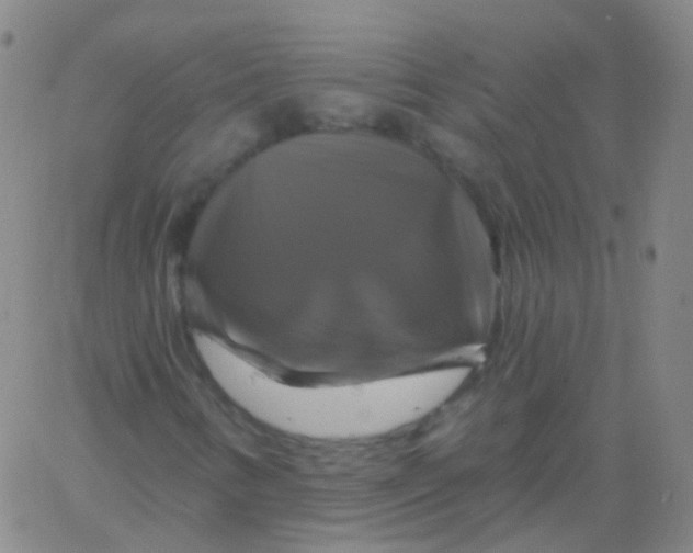 X0000061751346200512231515