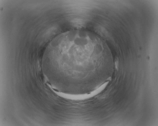 X0000061751347200512231515