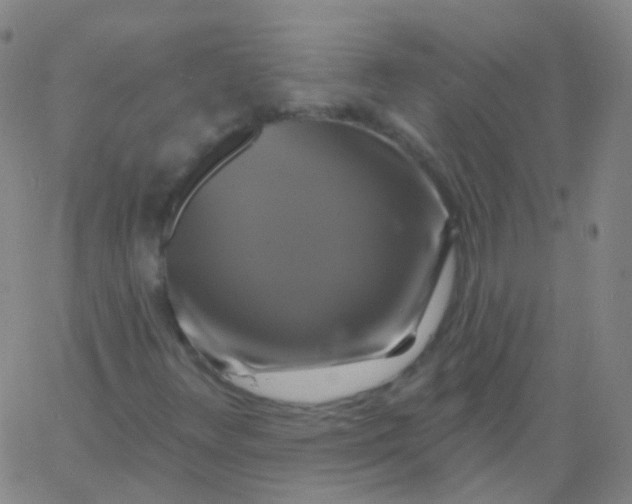 X0000061751348200512231515