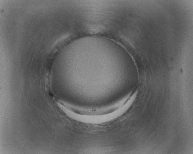 X0000061751349200512231515