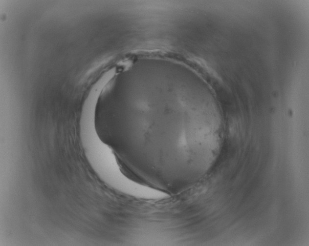 X0000061751350200512231515