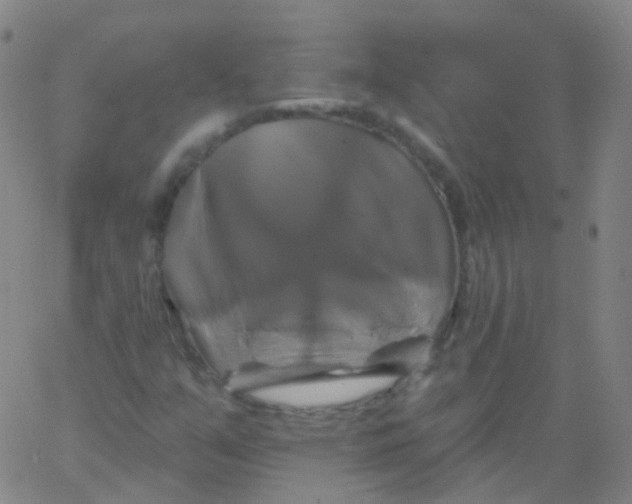 X0000061751351200512231515