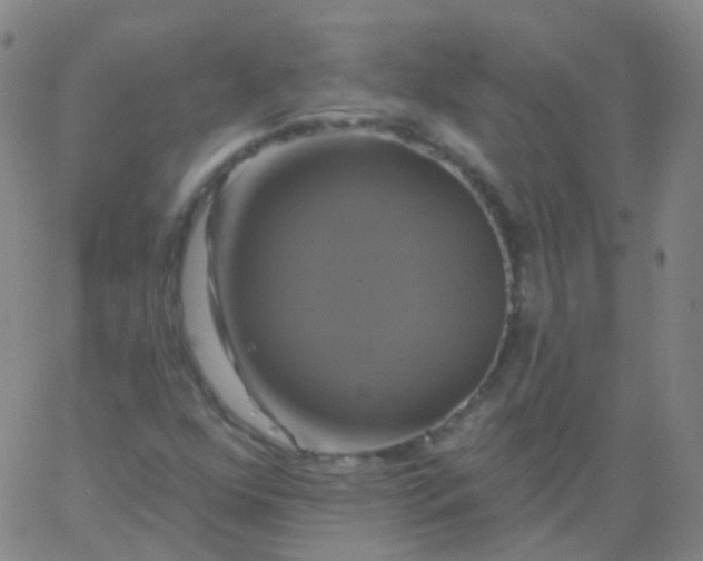 X0000061751352200512231515