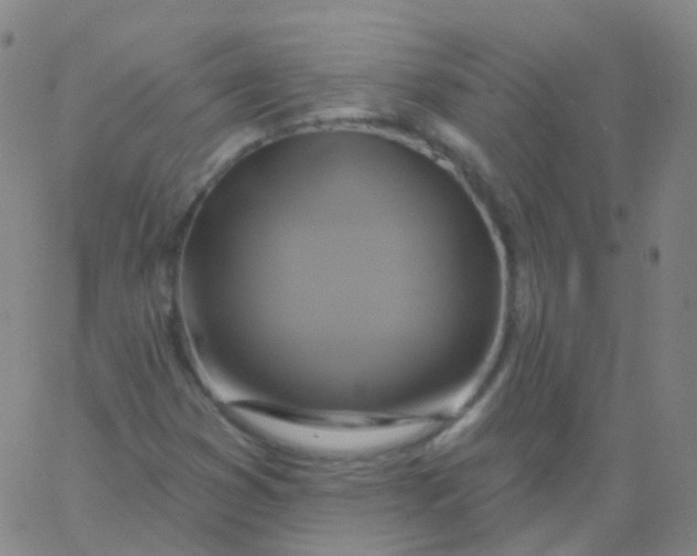 X0000061751353200512231515