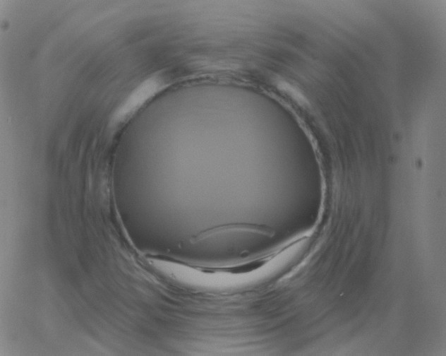 X0000061751354200512231515