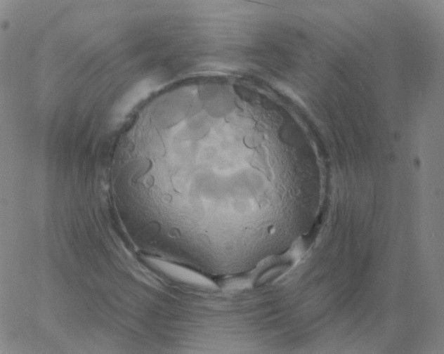 X0000061751355200512231515