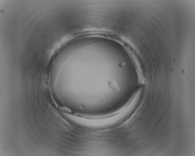 X0000061751357200512231515