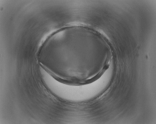 X0000061751358200512231515