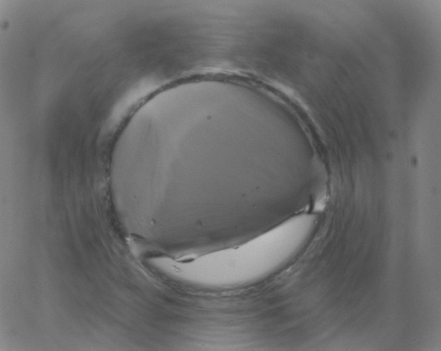 X0000061751359200512231515