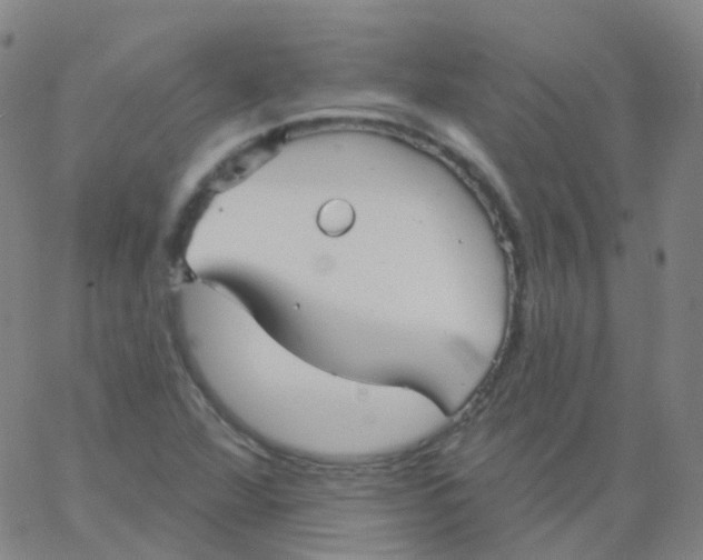 X0000061751360200512231515